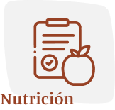 icono de nutricion